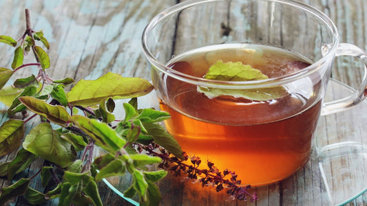 The Benefits of Tulsi Leaf Tea: A Sip of Wellness