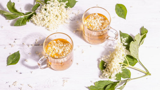 Why We Love Elderberry Tea