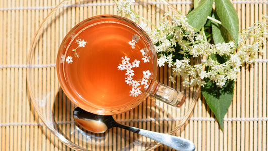Elderflower - Nature's Best Kept Botanical Secret